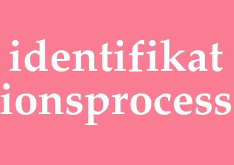 Synonym identifikationsprocess