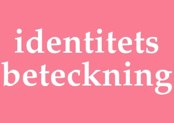 Synonym identitetsbeteckning