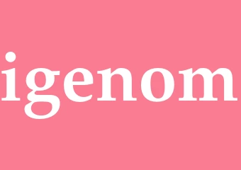 Synonym igenom