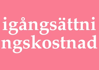Synonym igångsättningskostnad