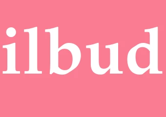 Synonym ilbud