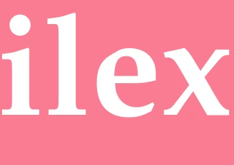 Synonym ilex