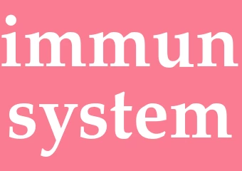 Synonym immunsystem