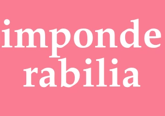 Synonym imponderabilia
