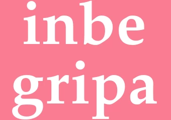 Synonym inbegripa