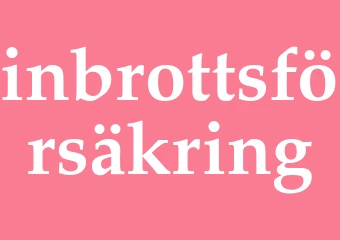 Synonym inbrottsförsäkring