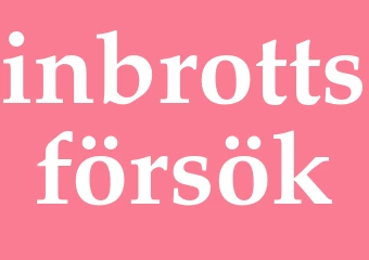 Synonym inbrottsförsök