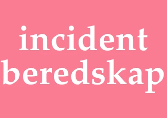 Synonym incidentberedskap
