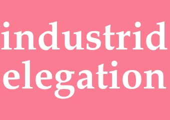 Synonym industridelegation