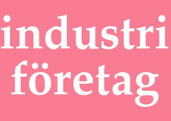 Synonym industriföretag