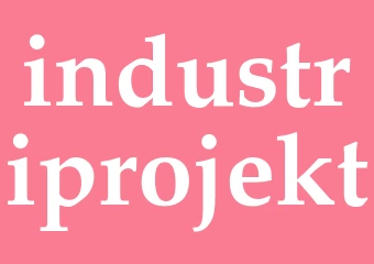 Synonym industriprojekt