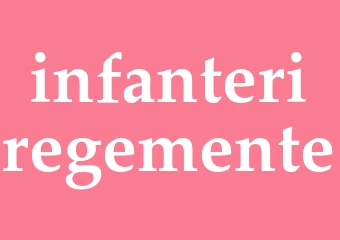 Synonym infanteriregemente