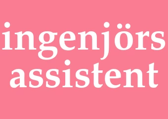 Synonym ingenjörsassistent