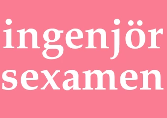 Synonym ingenjörsexamen