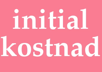 Synonym initialkostnad