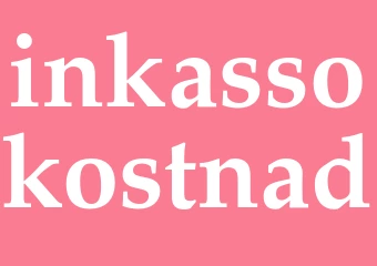 Synonym inkassokostnad