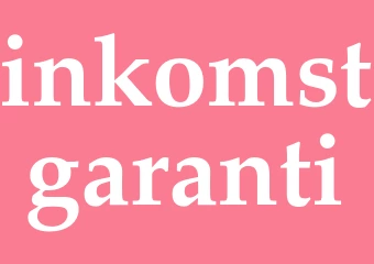 Synonym inkomstgaranti