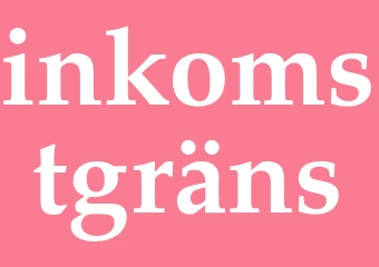 Synonym inkomstgräns