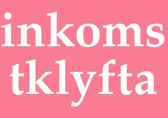Synonym inkomstklyfta