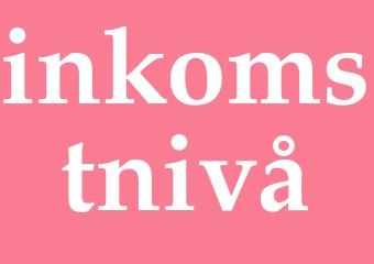 Synonym inkomstnivå