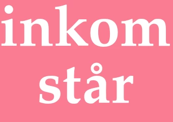 Synonym inkomstår