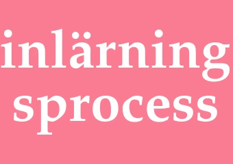 Synonym inlärningsprocess