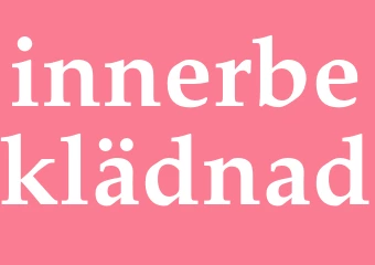 Synonym innerbeklädnad