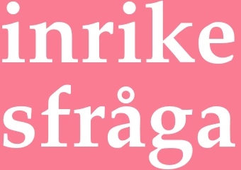 Synonym inrikesfråga