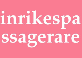 Synonym inrikespassagerare