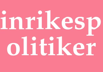 Synonym inrikespolitiker