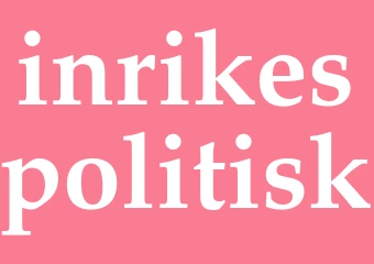 Synonym inrikespolitisk