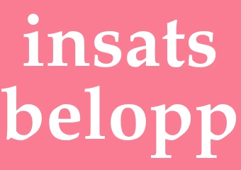 Synonym insatsbelopp