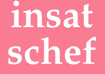 Synonym insatschef