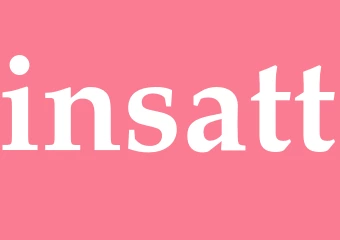 Synonym insatt