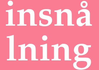 Synonym insnålning