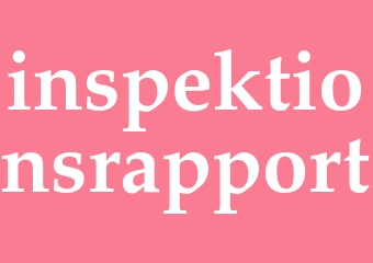 Synonym inspektionsrapport