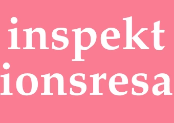 Synonym inspektionsresa