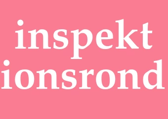 Synonym inspektionsrond