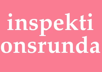 Synonym inspektionsrunda