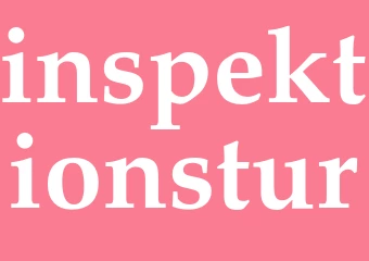 Synonym inspektionstur