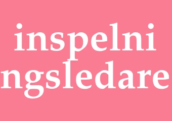 Synonym inspelningsledare