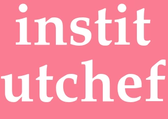 Synonym institutchef