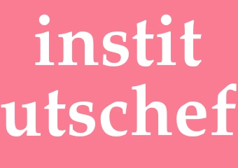 Synonym institutschef