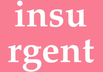 Synonym insurgent