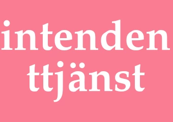 Synonym intendenttjänst