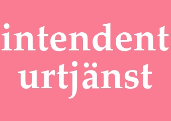 Synonym intendenturtjänst
