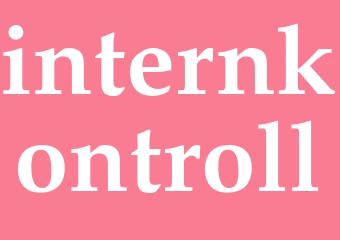 Synonym internkontroll