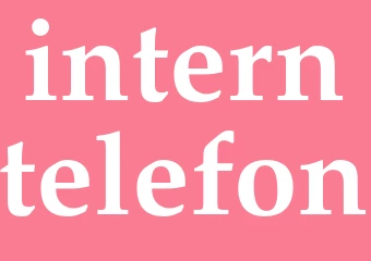 Synonym interntelefon