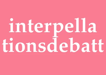 Synonym interpellationsdebatt