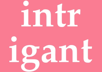 Synonym intrigant